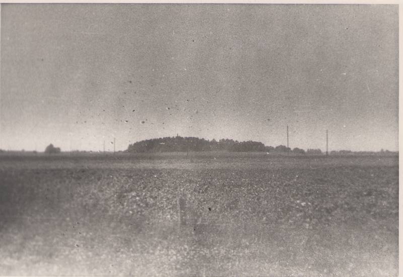 Foto. Vaade Varesmäele. Assamalla-Väike-Maarja maanteelt, 1951.