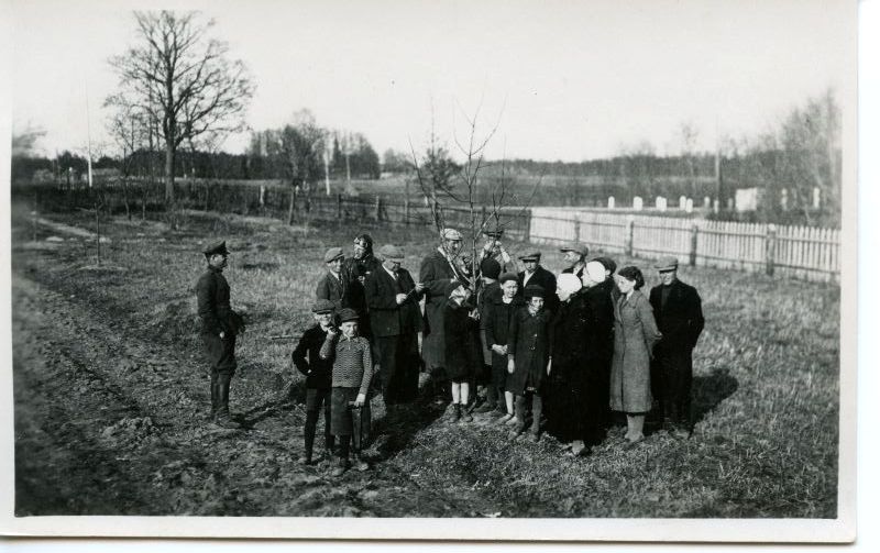 Viljapuude võrade harvendamise demonstratsioon Võtikvere kooli aias