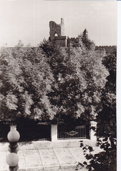 Vaade linnusele Malmi tänavalt. 1960.aastail