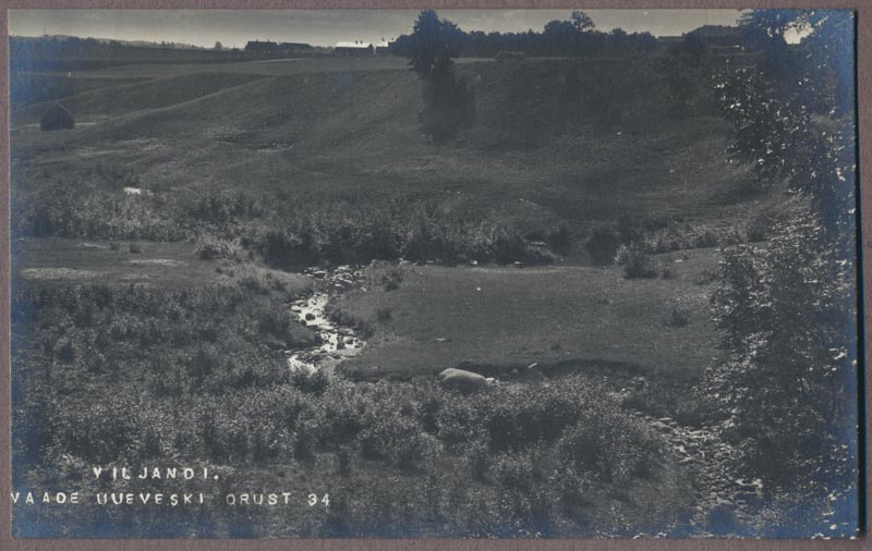 foto albumis, Viljandi, Uueveski org, eemal hooned, u 1915. foto J. Riet