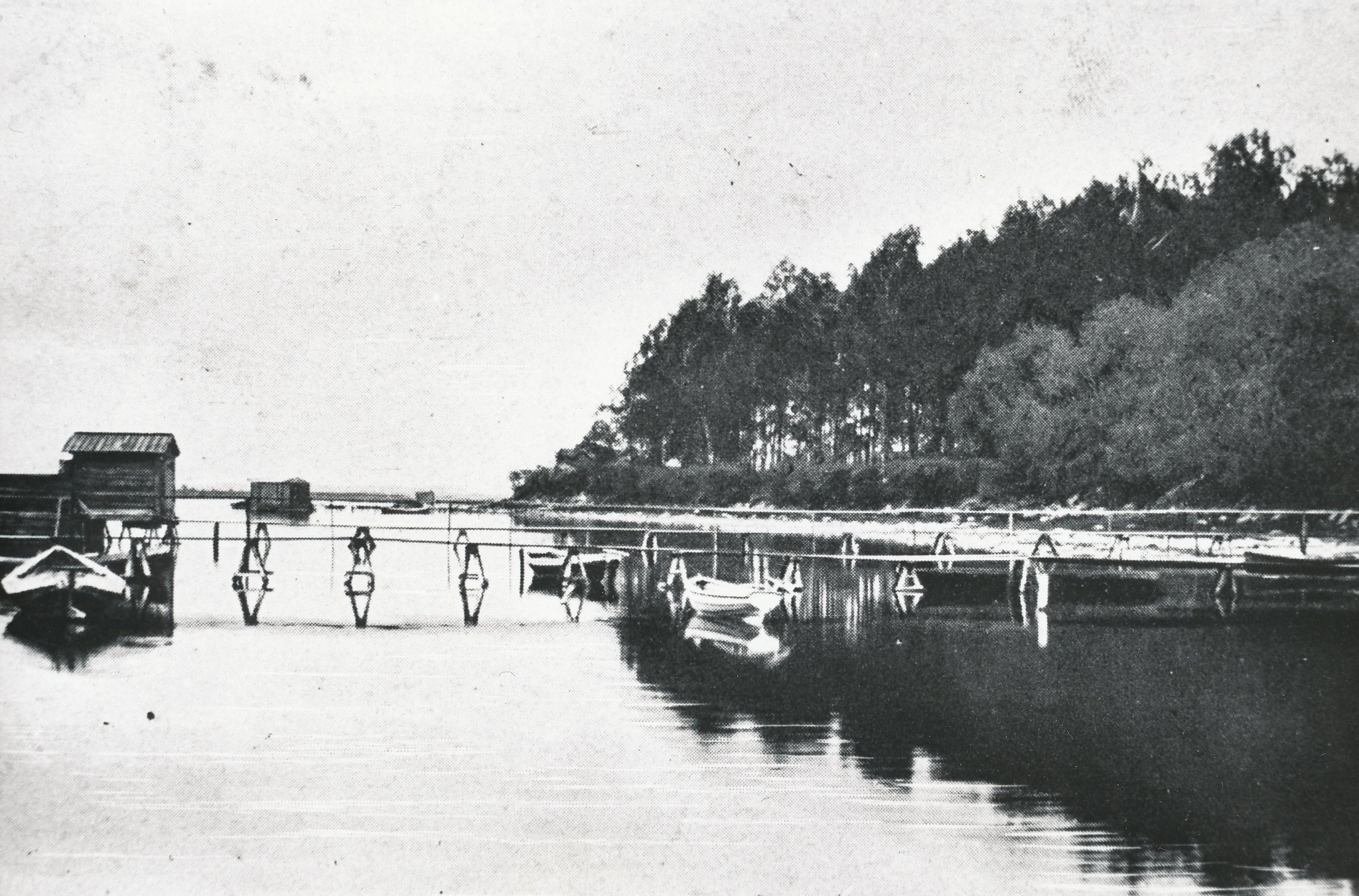 Foto. Võru. Vaade järvele ja supelrannale pargi ääres 1904.aastal.