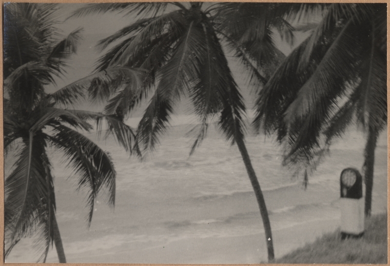 Mootorlaeva "Mahtra" Aafrika-reisi jäädvustused. Vaade ookeanikaldale palmidega