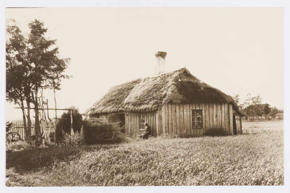 Sauniku elamu.