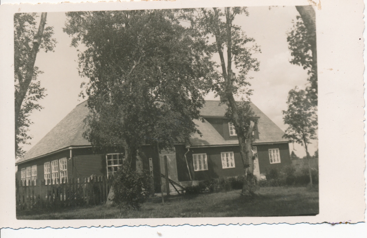 Tammiku algkool Roela vald