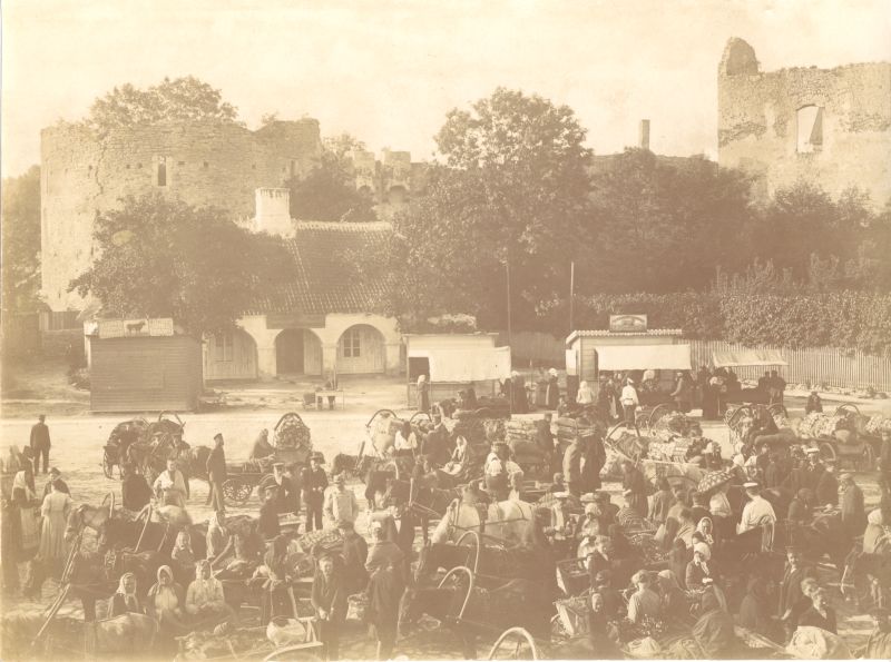 Foto. Turg Haapsalus. Kauplejad suvisel laadapäeval. u 1900.