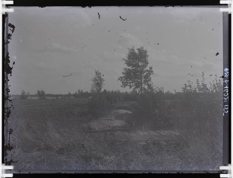 klaasnegatiiv, Otti talu karjamaa, Lõõla 1920-ndad a.