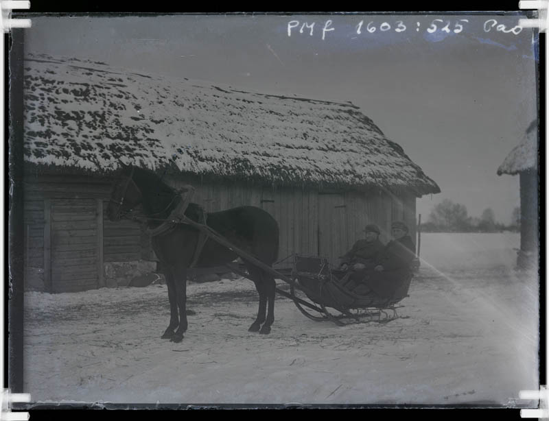 klaasnegatiiv, hobune ree ja kahe mehega Pao talu juures, Lõõla 1920-ndatel a.