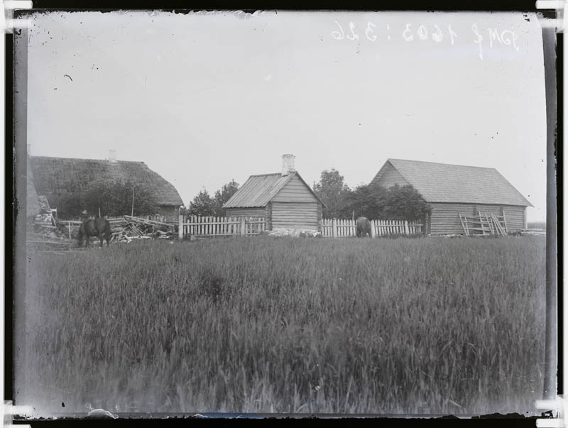 klaasnegatiiv, Kuuramatsil, Lõõla 1918. a.