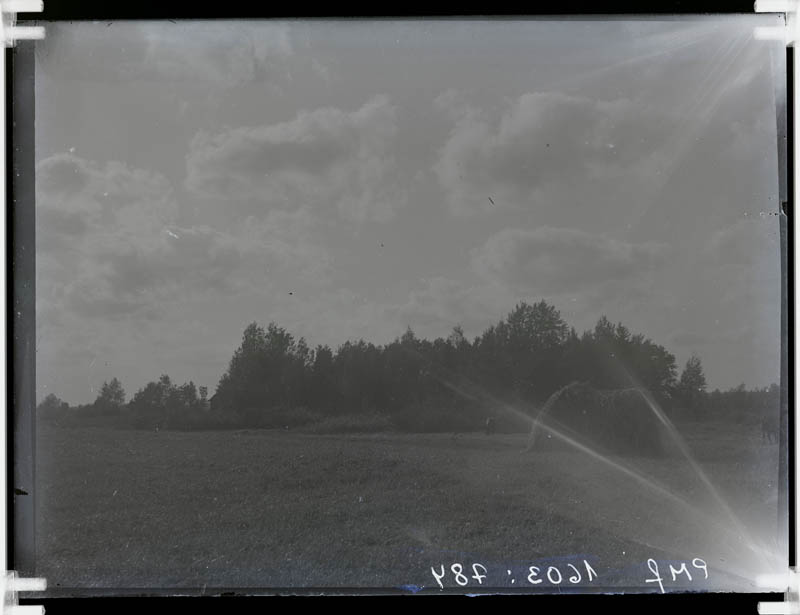 klaasnegatiiv,  Allikniidu mägi Kuuramatsi maadel 1932.a.