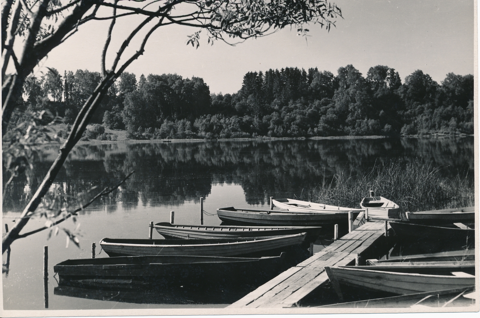 foto, Viljandi, järv, paadisild, u 1960, foto A. Kiisla