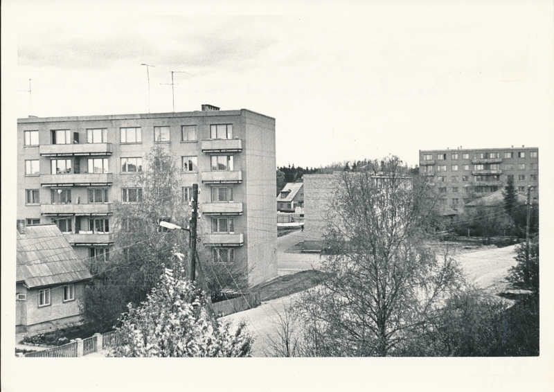 foto, Viljandi, Paalalinn, 1973, foto L. Kadalipp