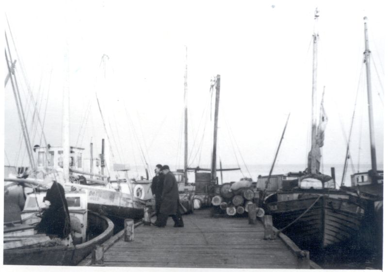 Foto. Haapsalu kalakombinaadi sadam, mai 1949.