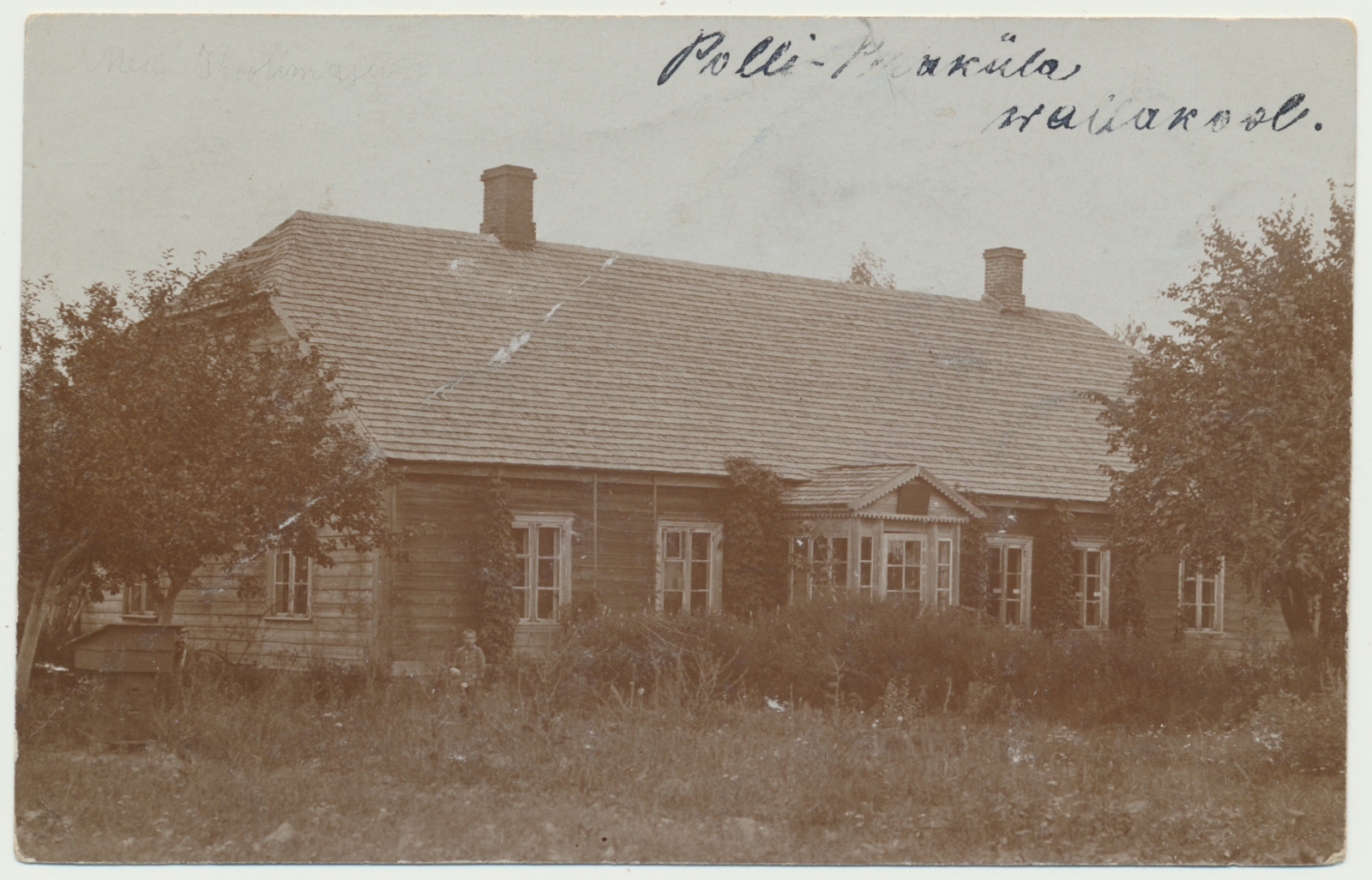 foto, Viljandimaa, Polli- Peraküla vallakool, u 1915