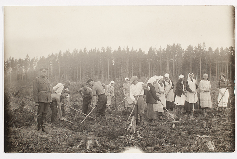 Metsaistutamine Rõuges umbes 1931. aastal. Metsavaht Kapp.