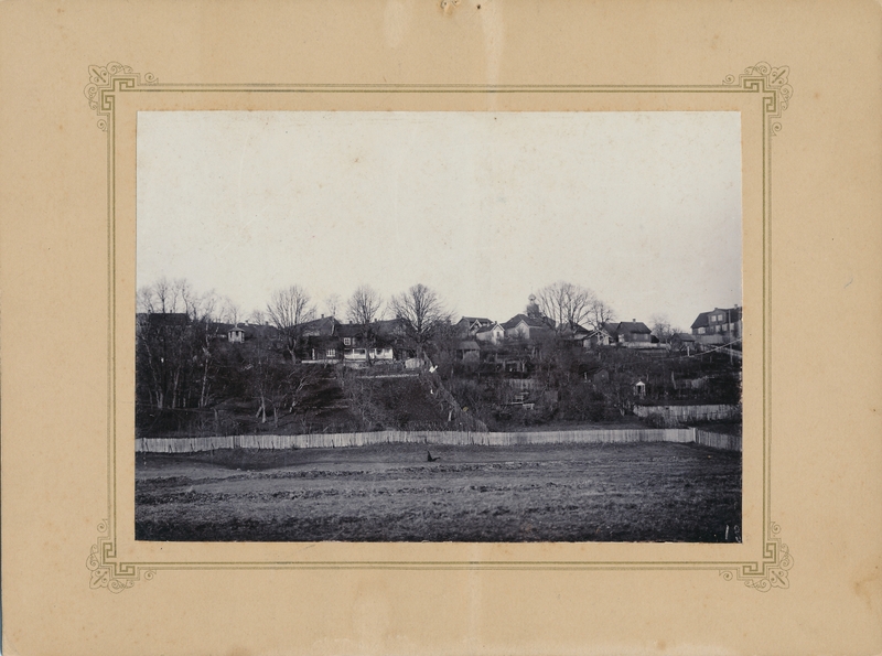 foto papil Viljandi, mäeveerul majad, raekoja torn, ees karjamaa u 1900