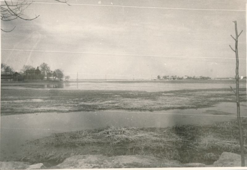 Foto. Haapsalu Väik. Viigi kallas. Vaade vaikselt kaldalt Holmi poolsaare suunas. Kevad 1960. Fotogr. R. Kalk.