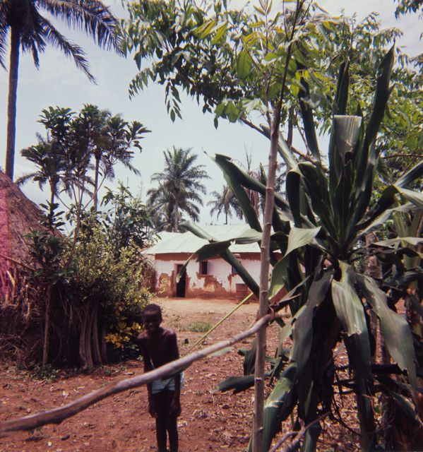 Dahomeylainen (now Benin) village and family-protecting tree