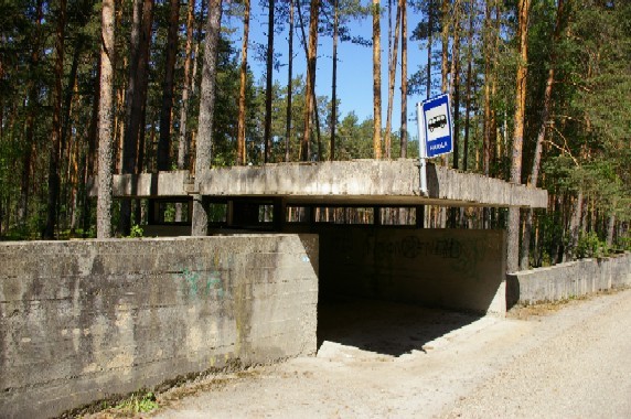 Bus and coach Pavilion Võru County Võru County Kubija