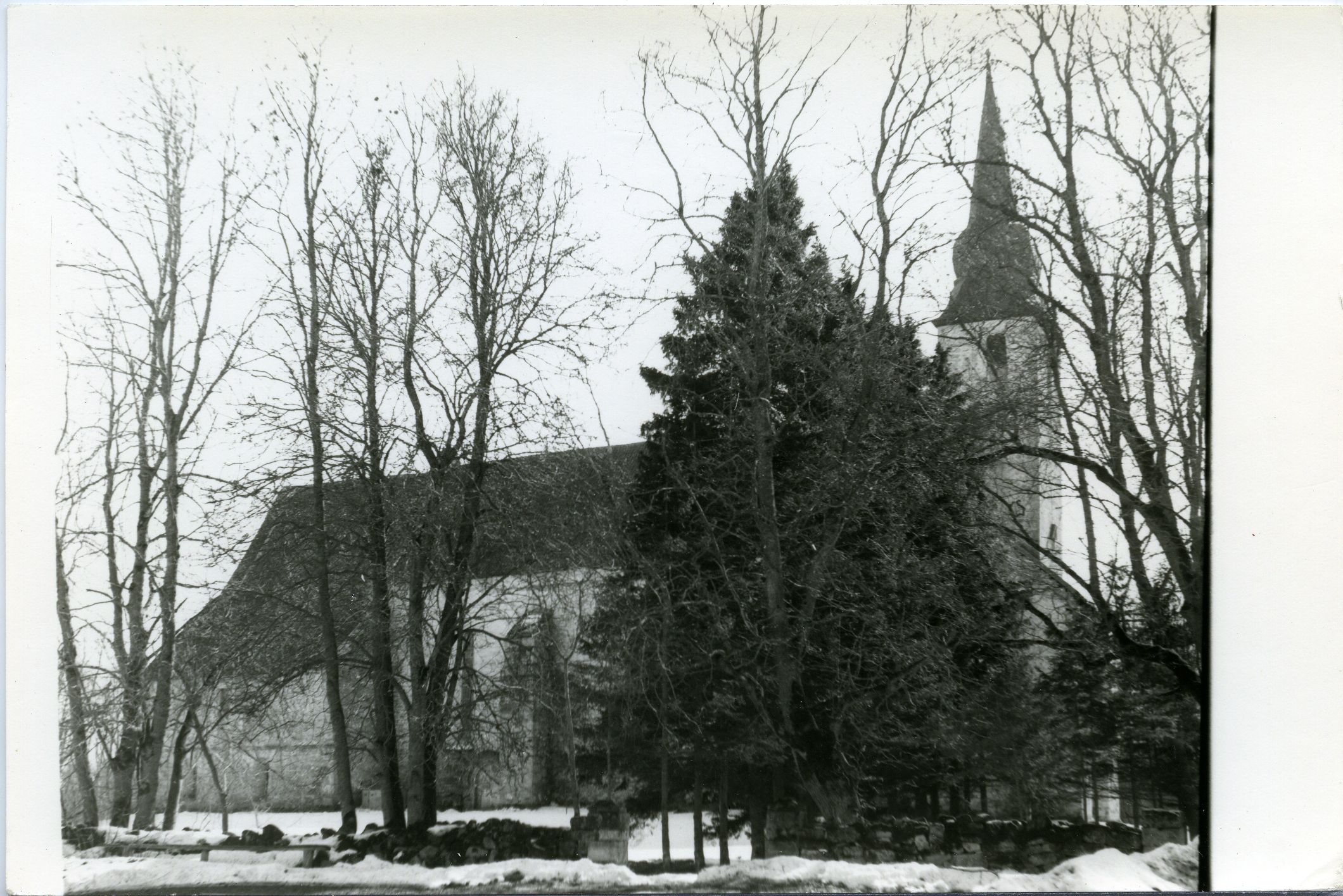 Kaarma Peeter-Pauli kirik, vaade põhjast