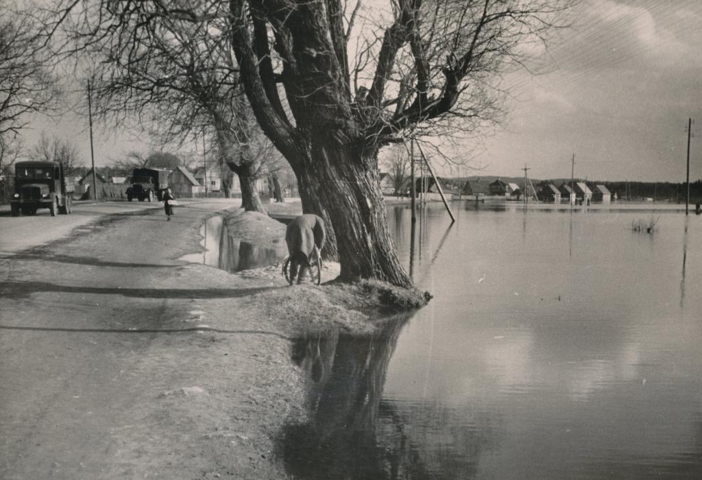 Foto Suurvesi Võrus 1956.aasta kevadel