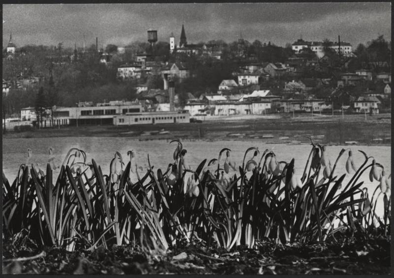 fotomontaaž, Viljandi, lumikellukesed, järv, restoran Vikerkaar, hooned mäeveerul, fotomontaaž, aprill 1982, foto E. Veliste