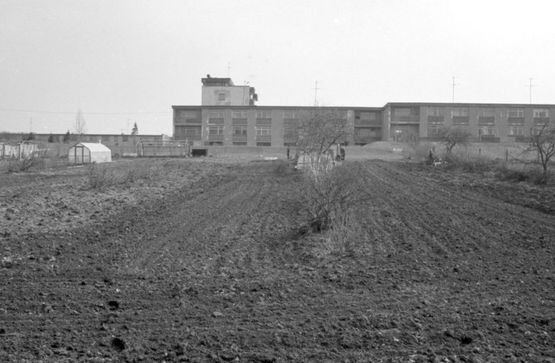 Kuremaa settlement, edelic. 1985