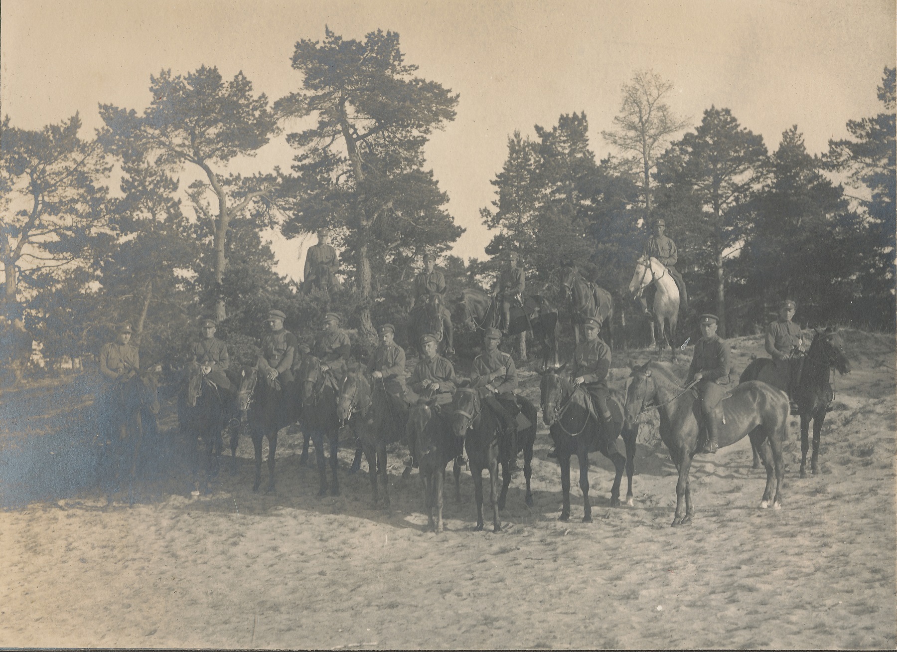foto, grupp eesti ohvitsere houbuste seljas.