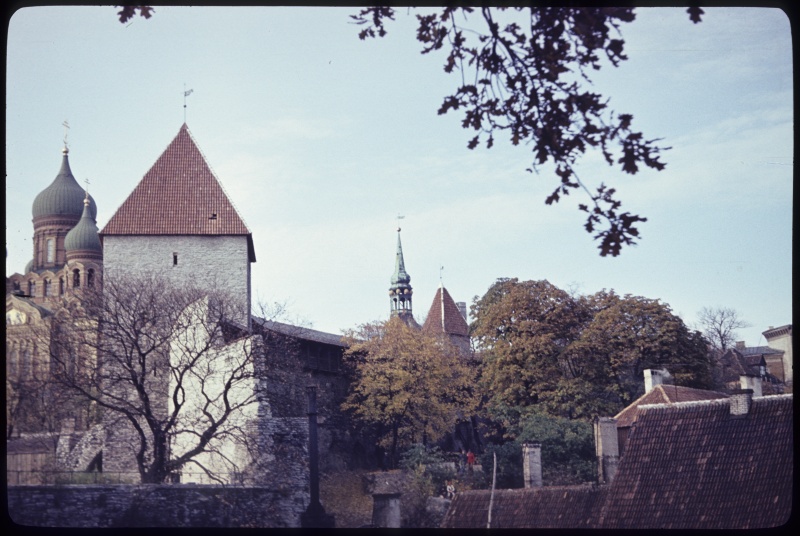 Tallinna linnamüür