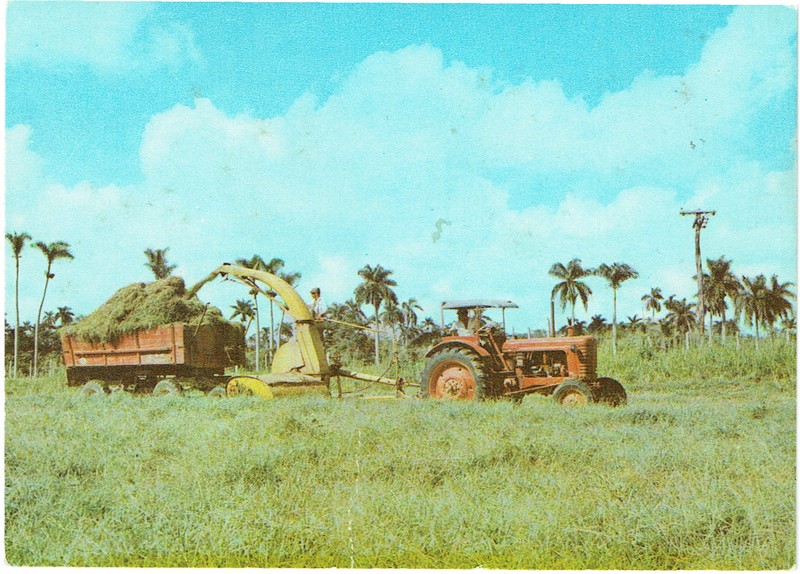 põllumajandustööd, Kuuba