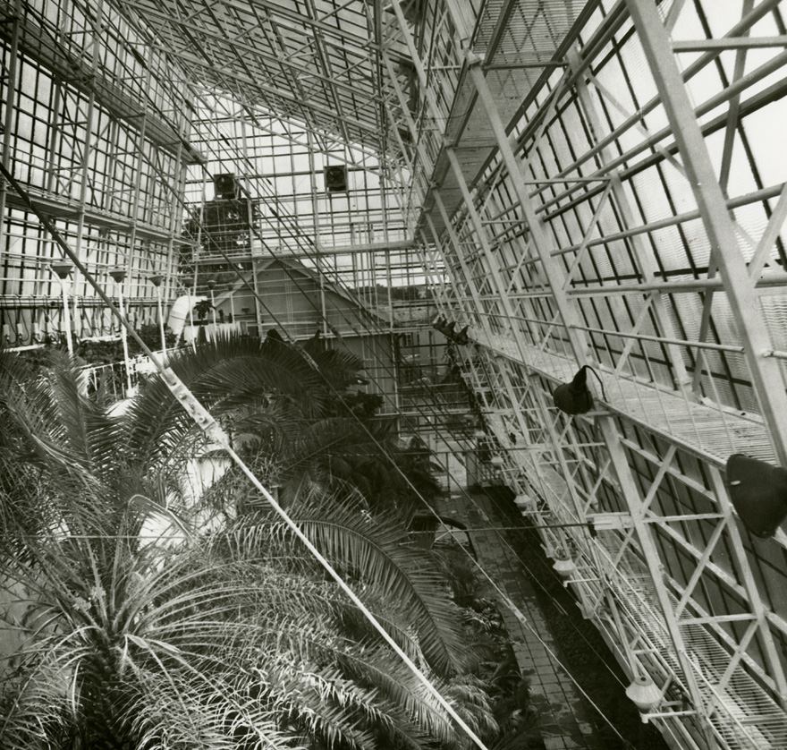 Tartu Ülikooli botaanikaaia palmimaja, katusealune vaade. Arhitekt Ingrid Mardi