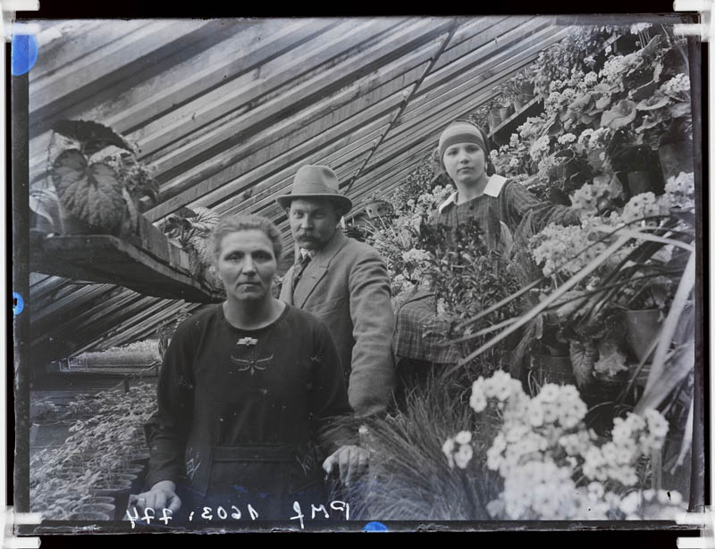 klaasnegatiiv, Vahi Põllutöökooli kasvuhoones 1924.a.
