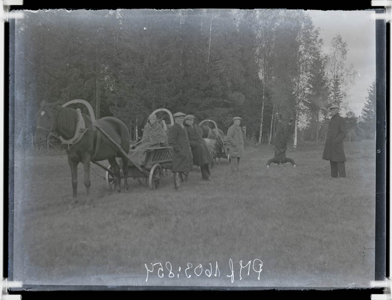 klaasnegatiiv, kolm hobust vankritega metsa ääres teel, Lõõla 1930.a. paiku