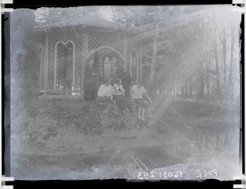 klaasnegatiiv,  viis naist pargis, 1920-ndad a.