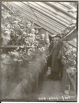 klaasnegatiiv, Vahi Põllutöökooli kasvuhoones, 1924.a.