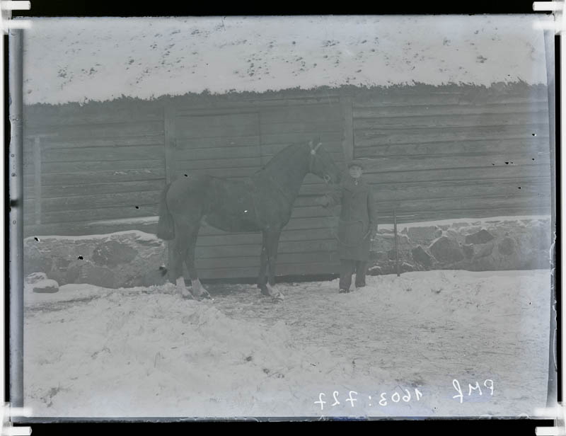 klaasnegatiiv, mees hobusega, Lõõla 1930-ndad a.