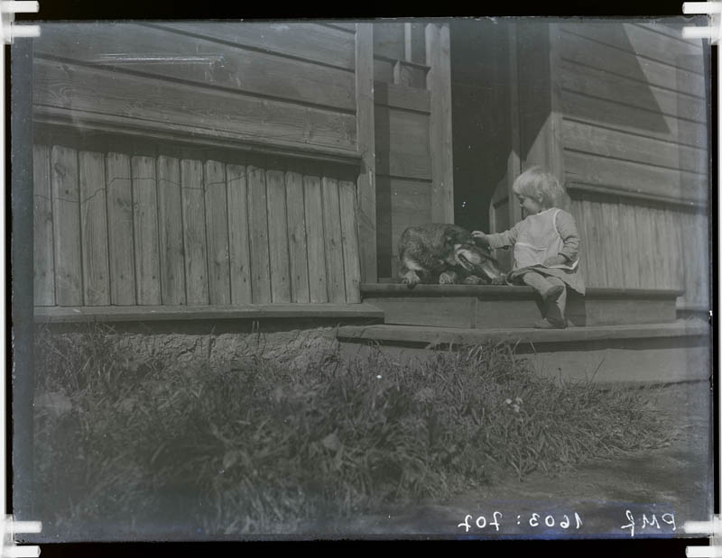 klaasnegatiiv, trepil väike tüdruk suure koeraga, Lõõla 1925.a. paiku
