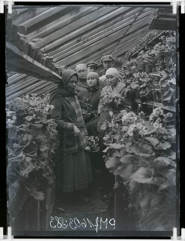 klaasnegatiiv, Vahi Põllutöökooli kasvuhoones 1923.a.