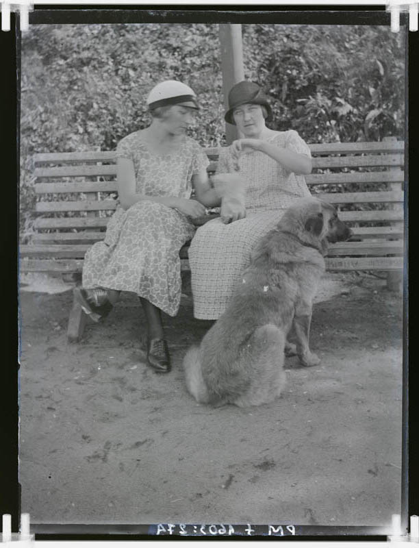 klaasnegatiiv, Helmi ja Linda Tohvelmann koeraga Paide Vallimäel 1920.a.