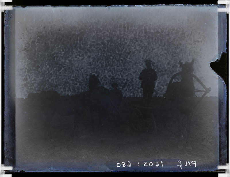klaasnegatiiv, kaks meest hobustega, Lõõla 1930.a. paiku