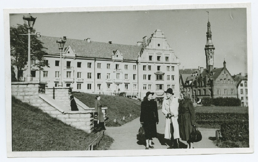 Tallinn, Harju tänava haljasala.