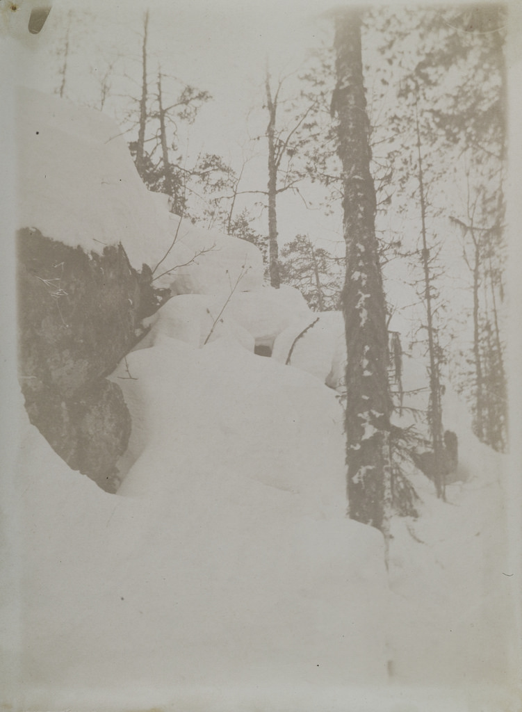 Granite cliff and birch covered by thick, springtime snow