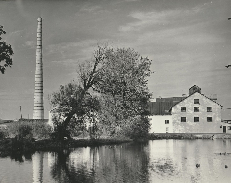 Rakvere Piiritustehas