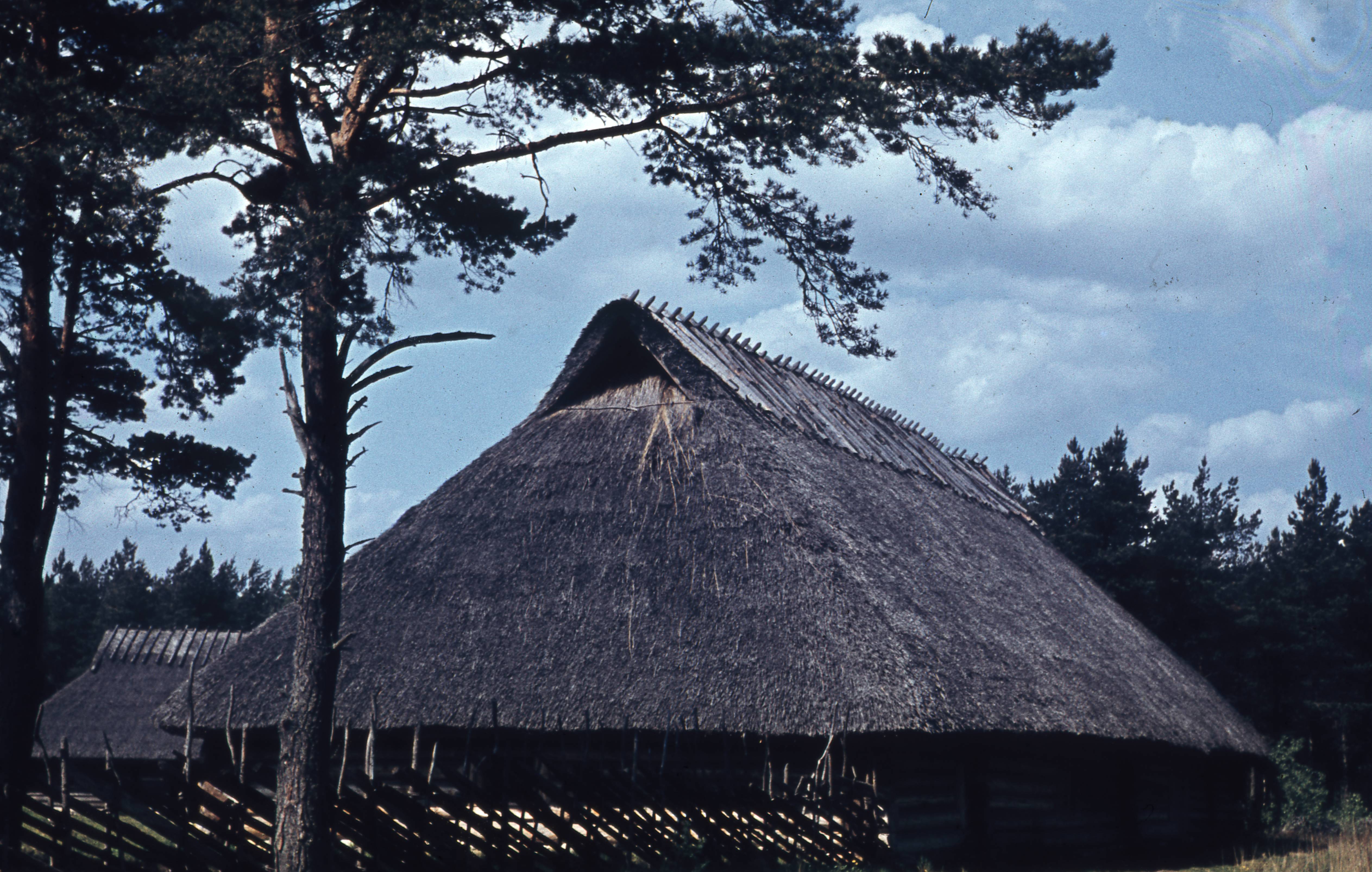 Sassi-Jaani talu rehemaja