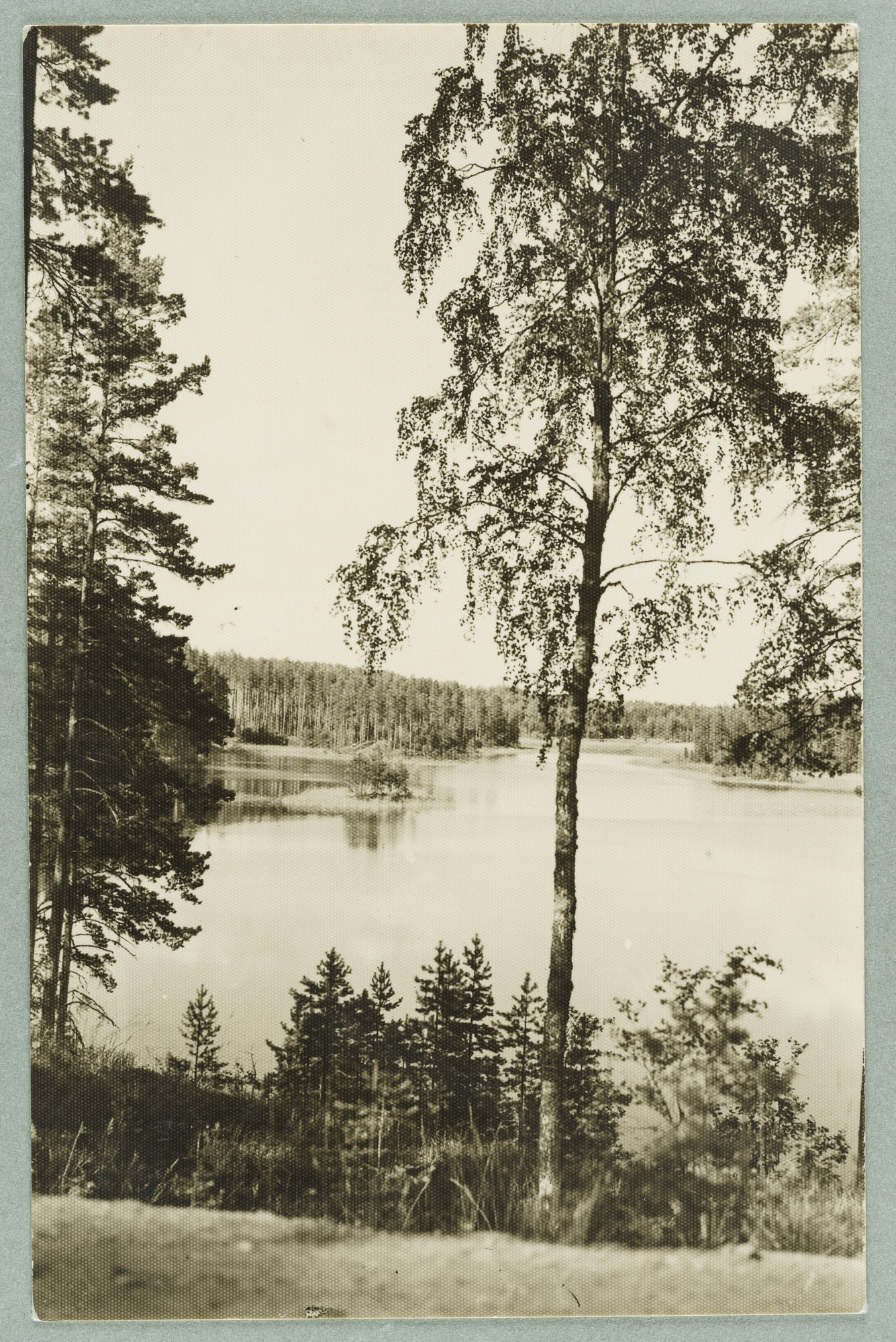 View line: harju-Laukanlahti-Onkiluoto-Likolahti