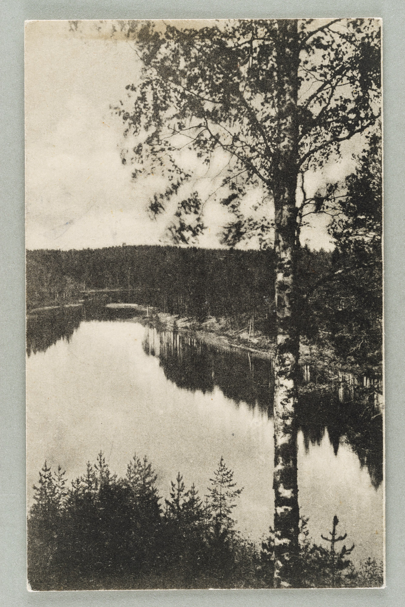 View line: Pöllänlampi-Pentinniemi-Kuikonniemi