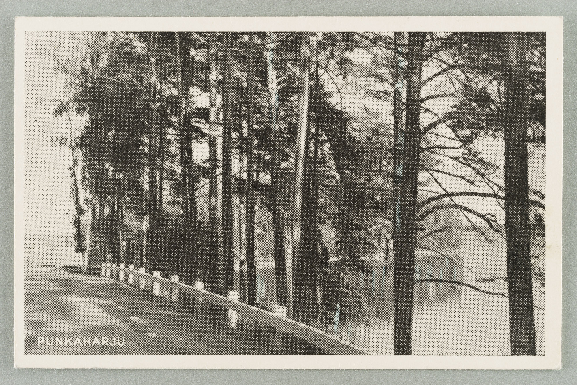 Harju next to the road in the direction of Kuikonniemen Punkasalmi, right Black Lahti