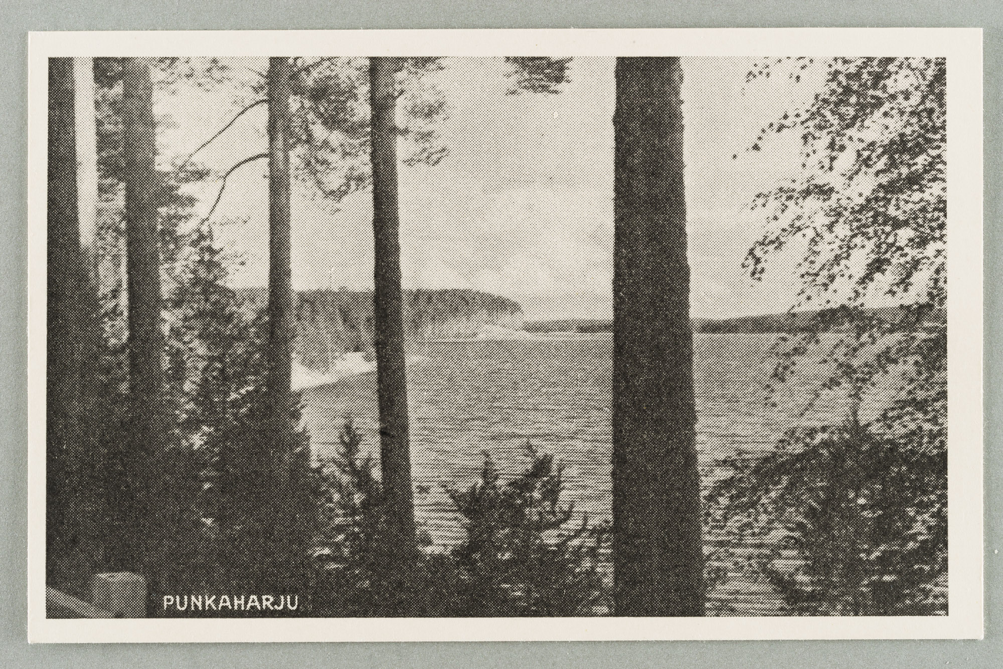 From the trainee to Pöllänselä, left Kivis and Black, behind the oak. The island of the table