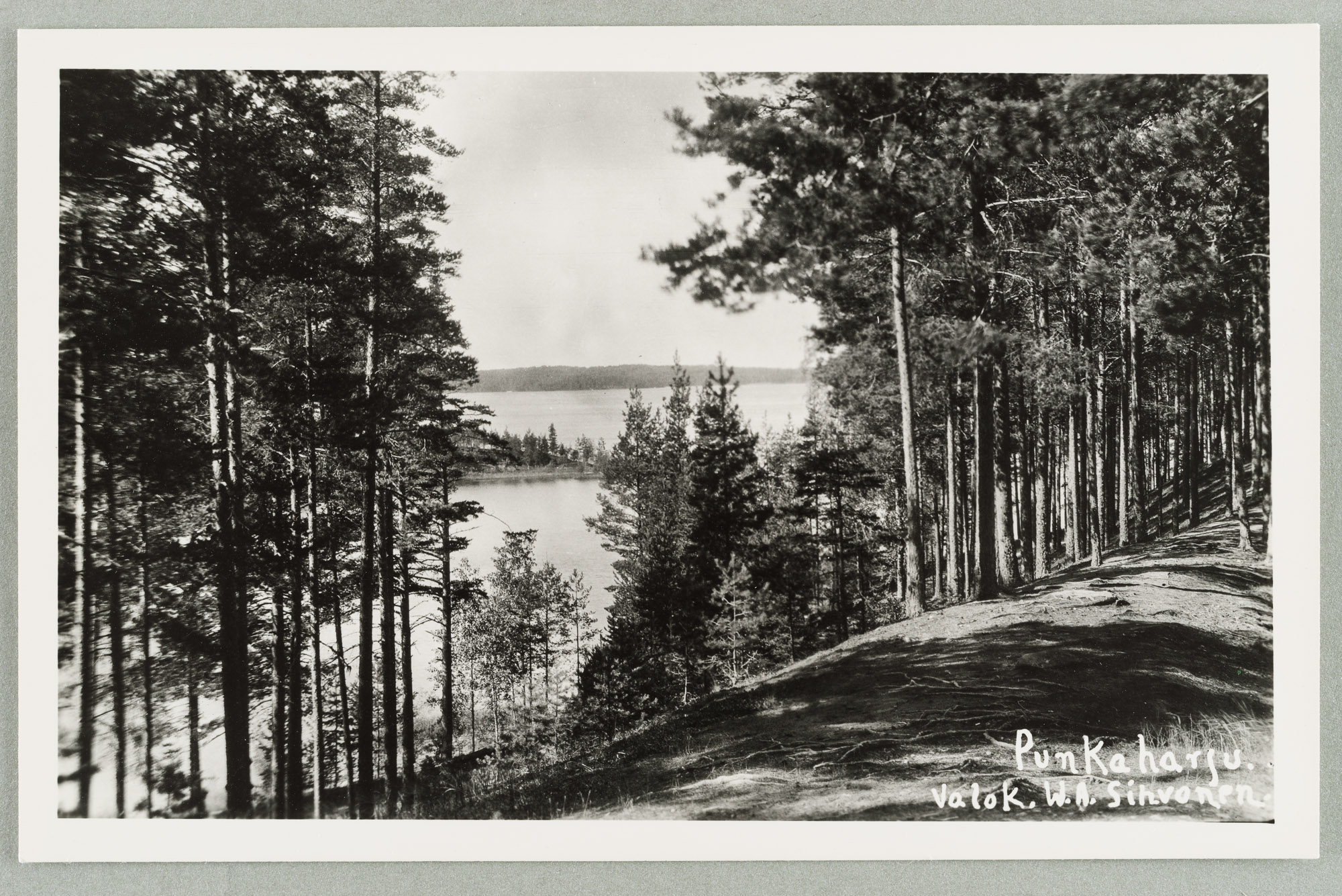 View line: Mountain of fire guards-Huosiaissaari-Pöllänselkä-Vahersalo
