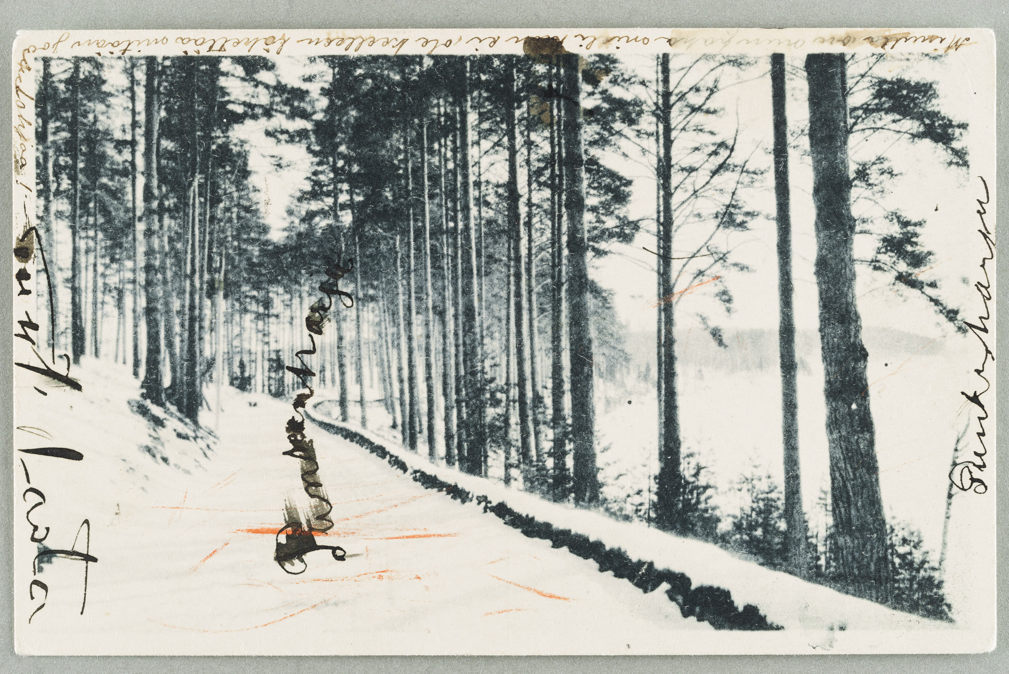 An old exercise route passing through the fire guard hill towards Punkasalme