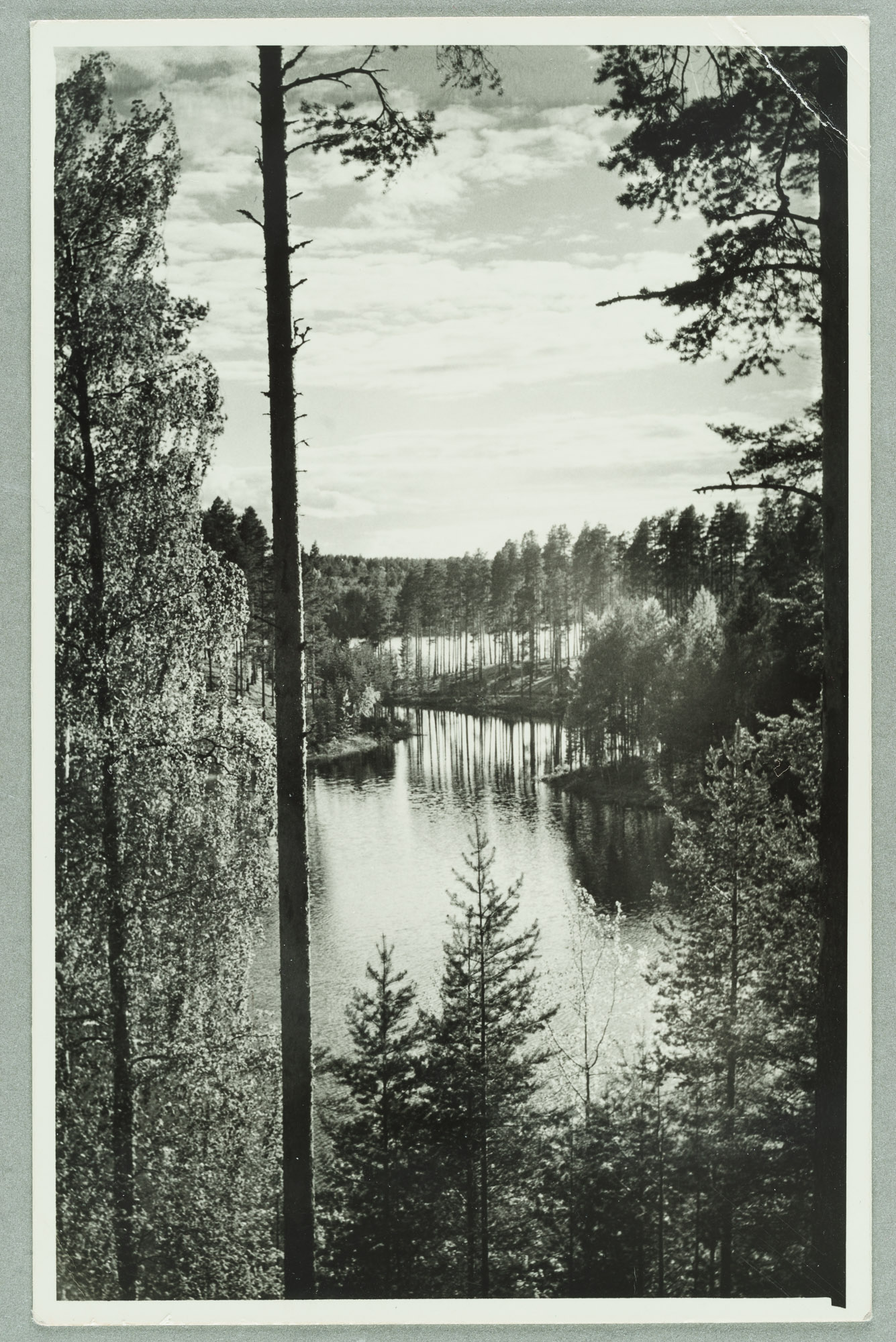 Near Runeberg's rubber to the Bay between Taka and Lammasharjui